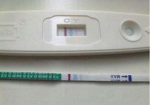 借精试管助孕